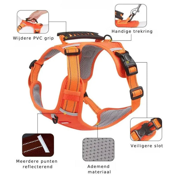 Reflective Stress- Relieving Harness | Rowkoly