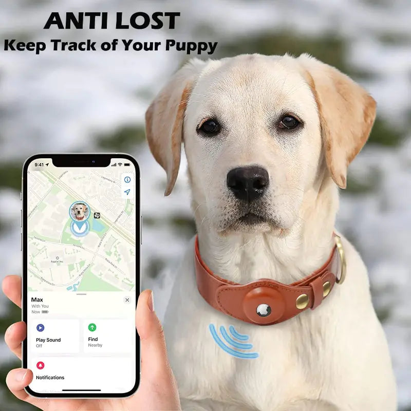 Smart dog finder with phone | Rowkoly