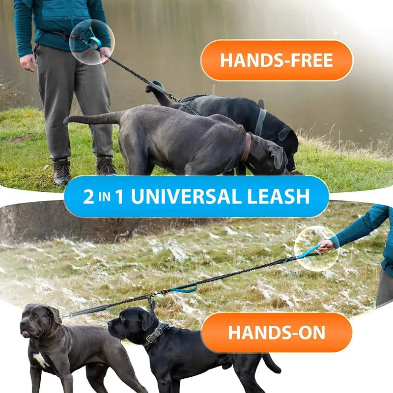 Reflective Comfort Leash Duo | Rowkoly