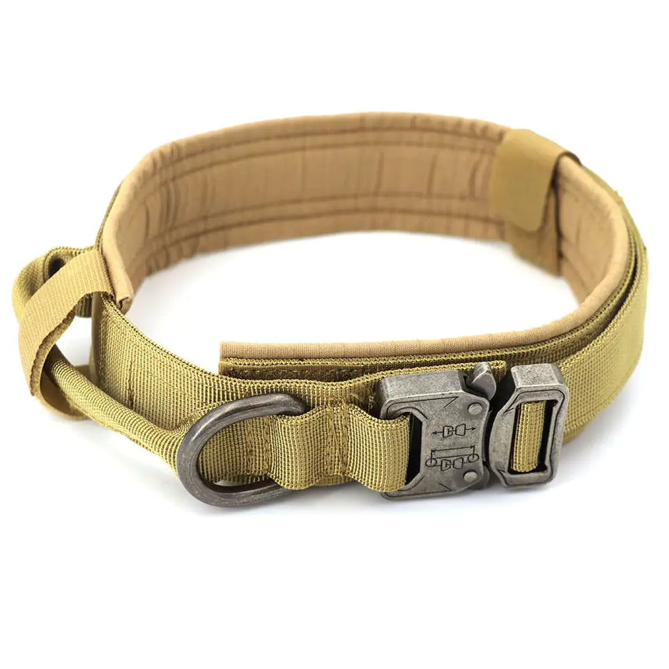 Dog Collar | Rowkoly