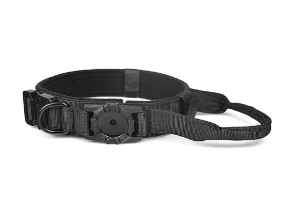 Metal Buckle Dog Collar | Rowkoly