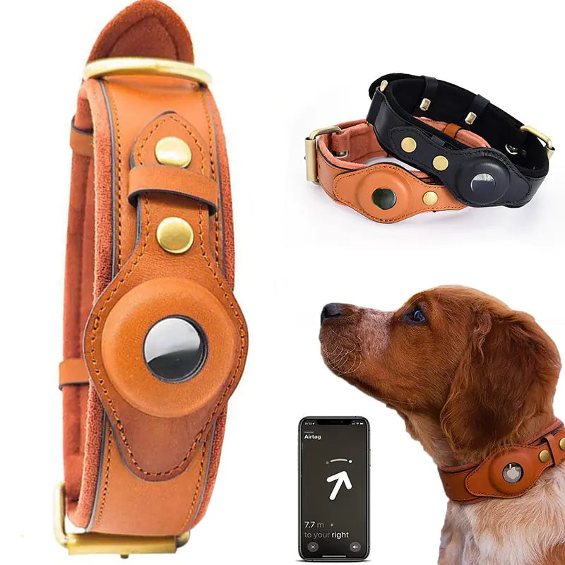 Smart dog finder with phone | Rowkoly