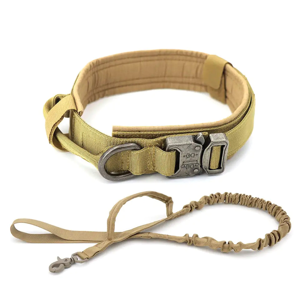 Dog Collar | Rowkoly