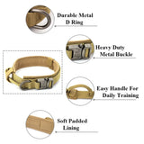 Dog Collar | Rowkoly