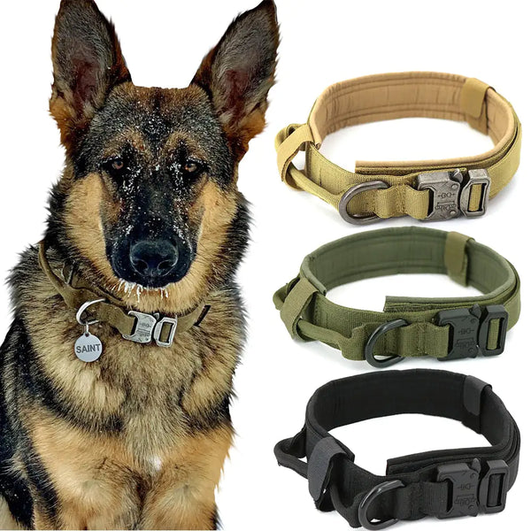 Dog Collar | Rowkoly