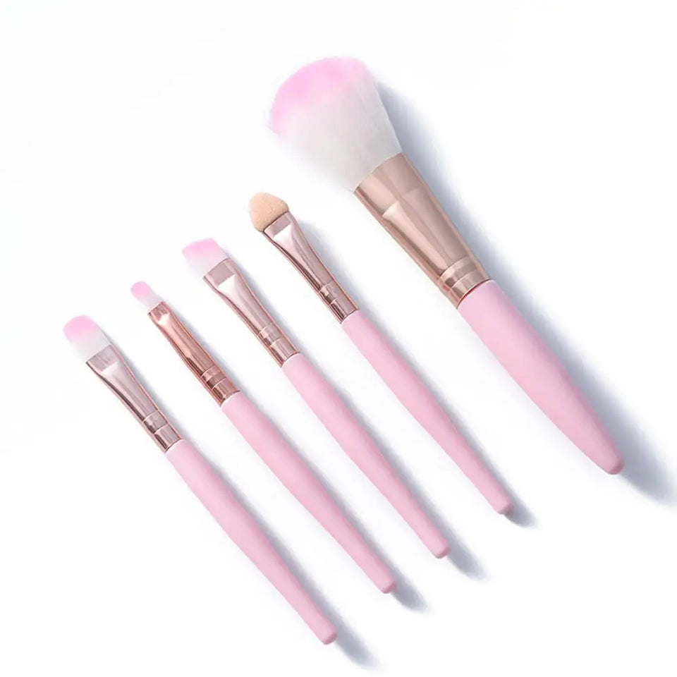 5pcs Makeup Brushes Beauty Tools | Rowkoly