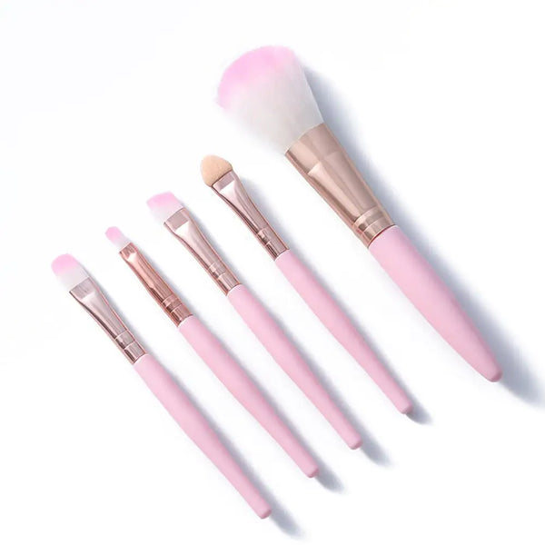 5pcs Makeup Brushes Beauty Tools | Rowkoly