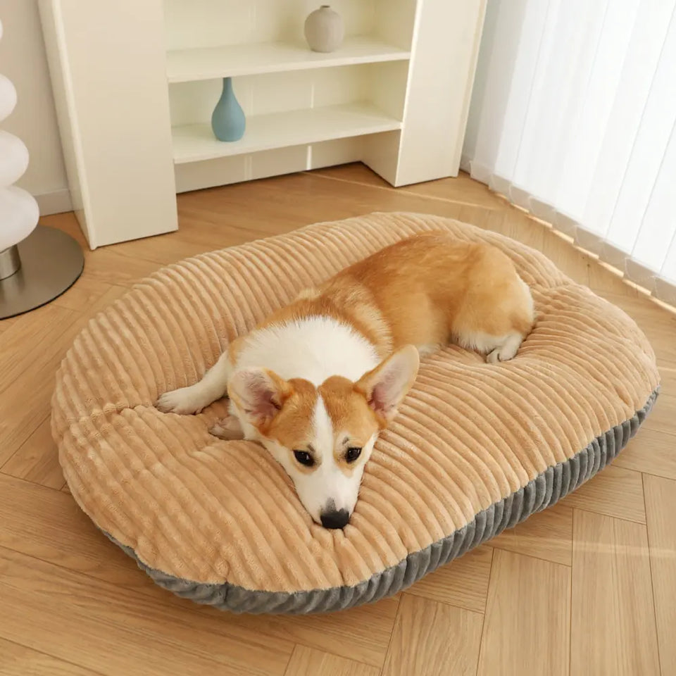 Soft Padded Dog Bed | Rowkoly