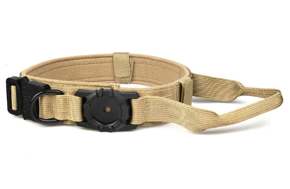 Metal Buckle Dog Collar | Rowkoly