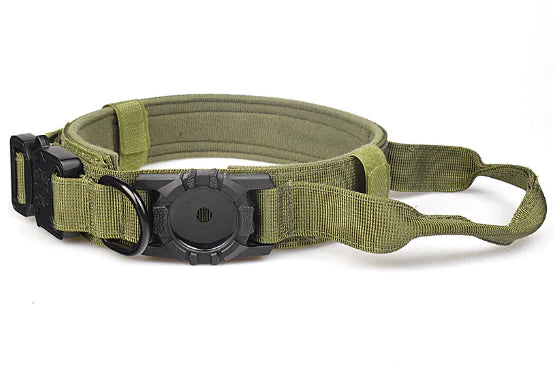 Metal Buckle Dog Collar | Rowkoly