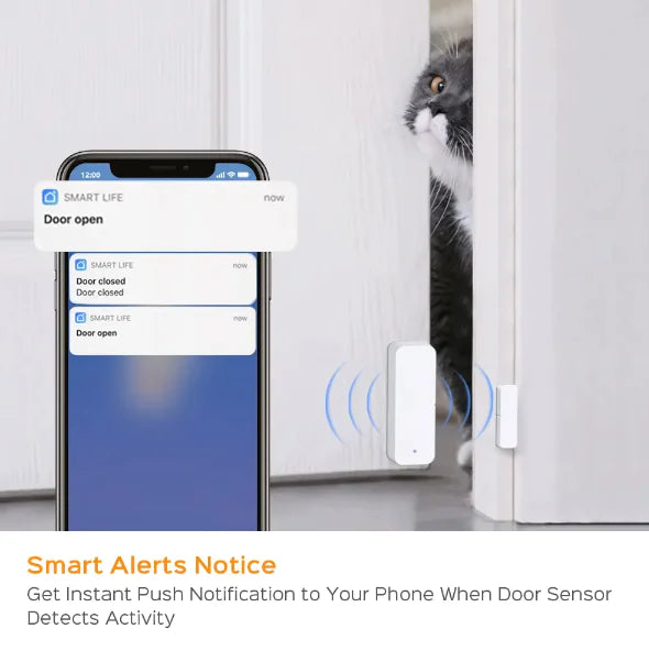 Smart Home Door Sensor | Rowkoly