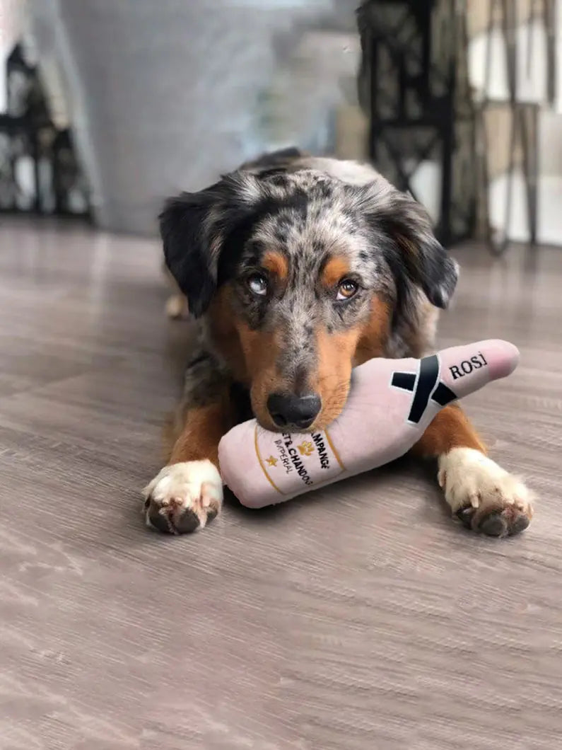 Whiskey Beer Dog Toy | Rowkoly